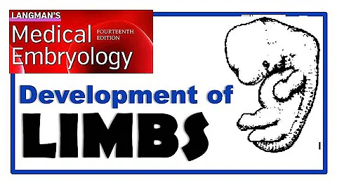Langman Chapter#12 | Embryology of LIMB Development | Dr Asif Lectures