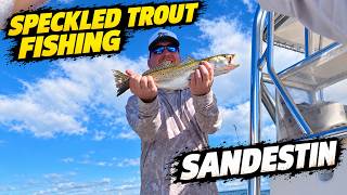 Speckled Trout | Catch & Cook