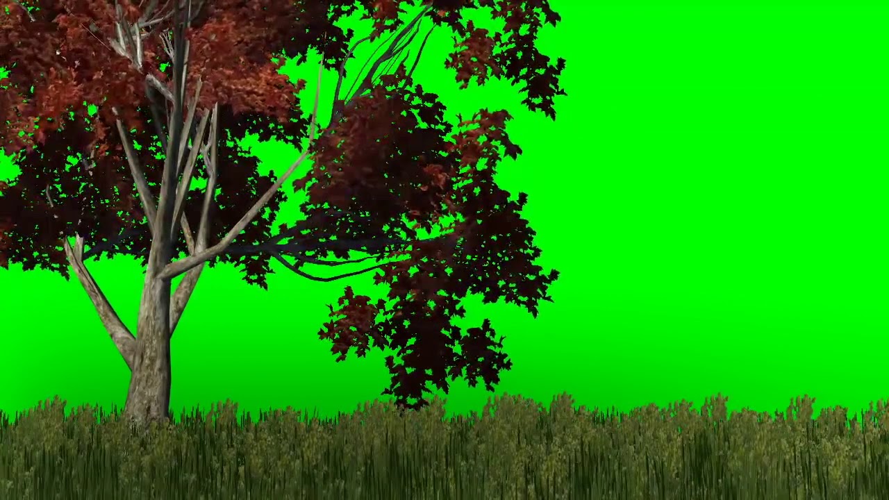 Как наложить картинку на зеленый фон в видео