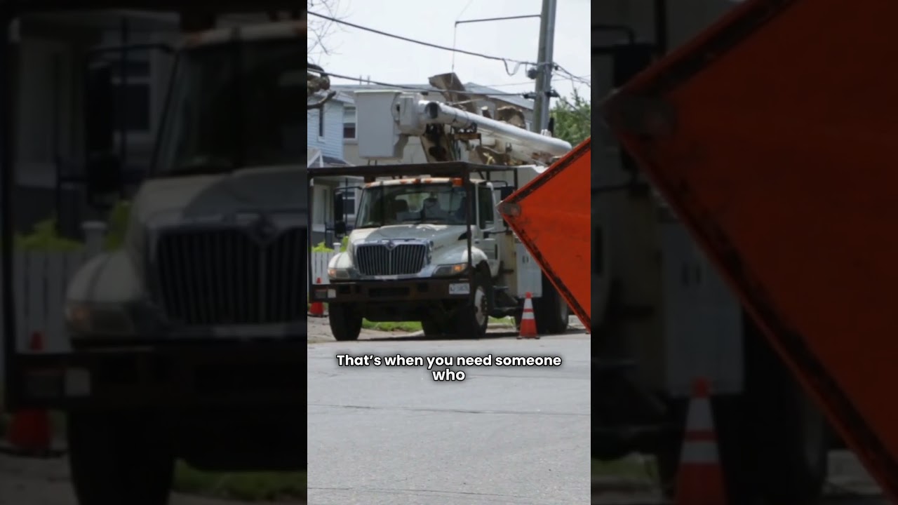 24/7 Emergency Tree Removal Service In York, PA | Oathkeepers tree care