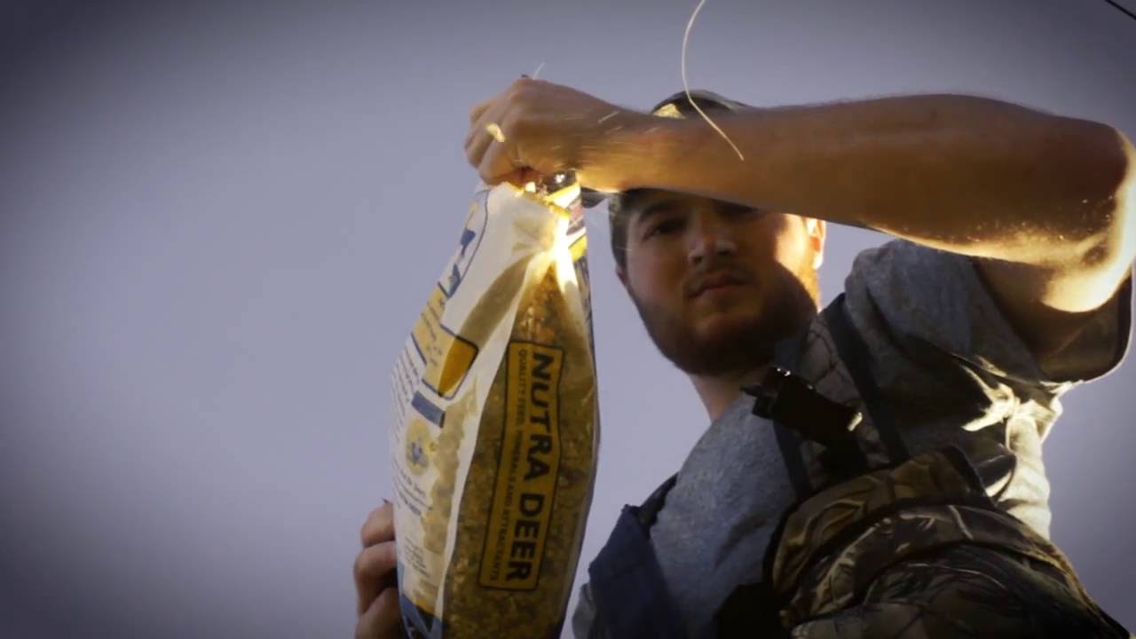 Early Season Bowhunt YouTube