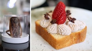 Eating bugs? This chef makes gourmet dishes with insects