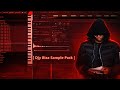 Dj Biza Sample Pack || Ta Biza Pack || Boots || Amapiano Sample Pack