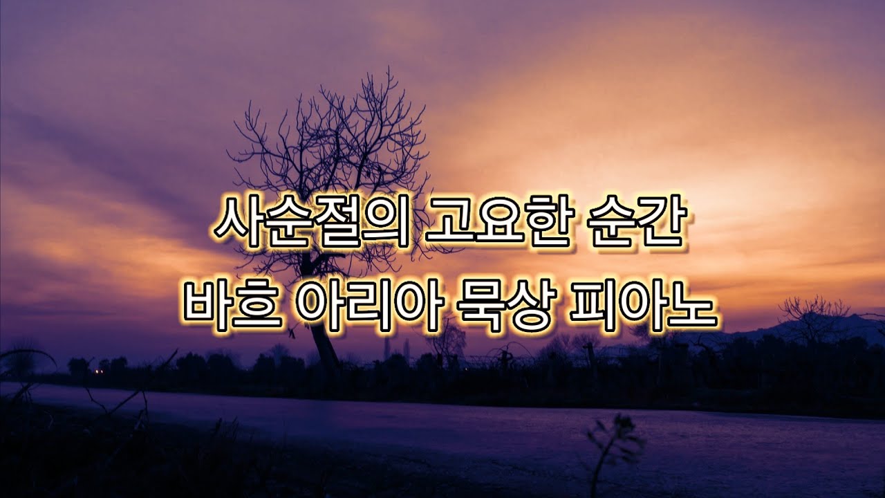 사순절 묵상 | 바흐 아리아 음악 라이브 - 영혼의 고요 속으로