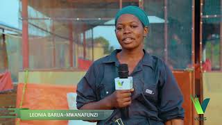 Yetu 24 Nilikuwa Sijui Kufuga Kuku Lakini Saiz Ninaweza Kutengeneza Banda Na Kulea Vifaranga
