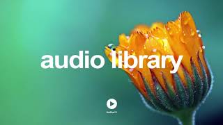 Italian Afternoon By Twin Musicom No Copyright Music Youtube - Free Audio Library