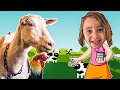 Farm animal fun with crazy goats and chickens kid fun with yummybunny