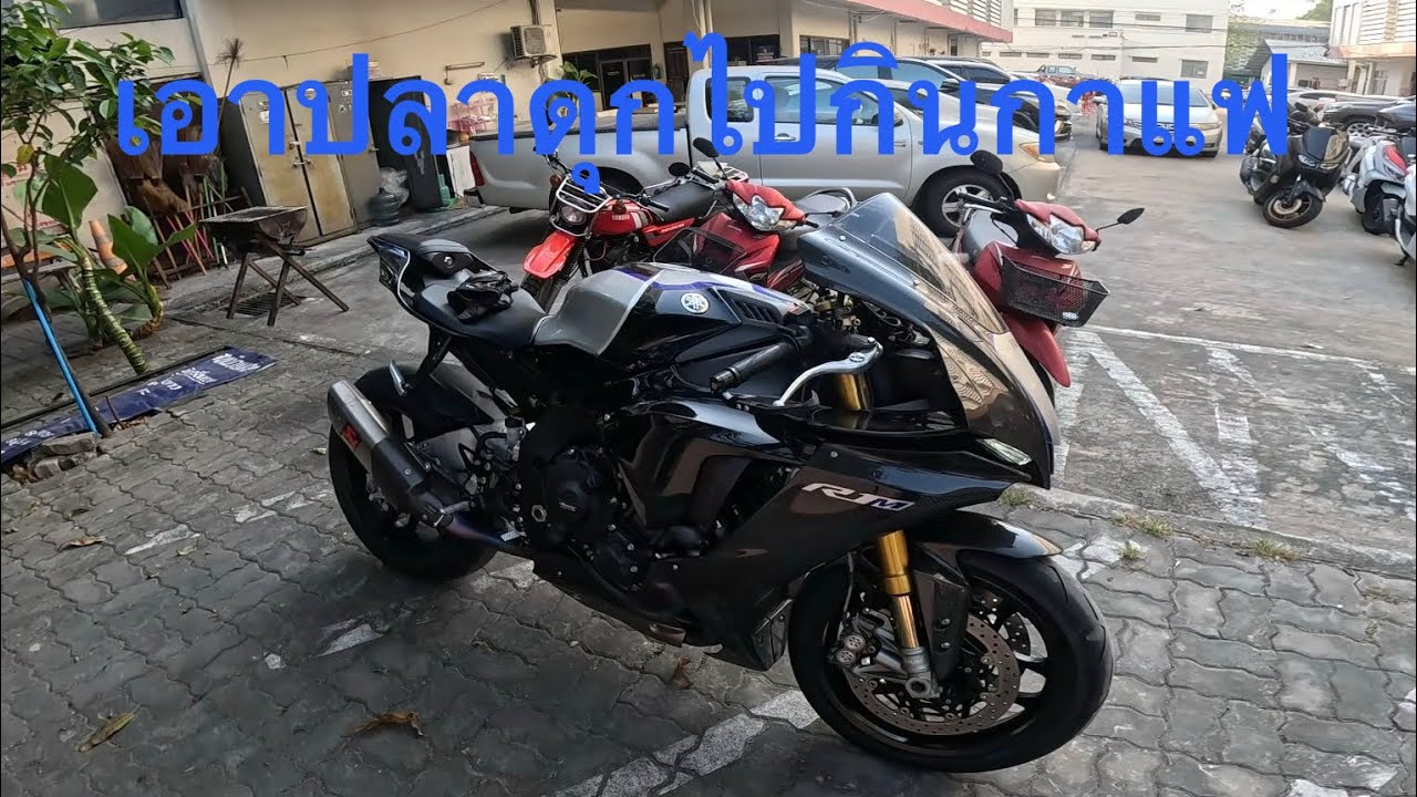 R1Mปลาดุก แตกต่างกับกระเบนยังไง?