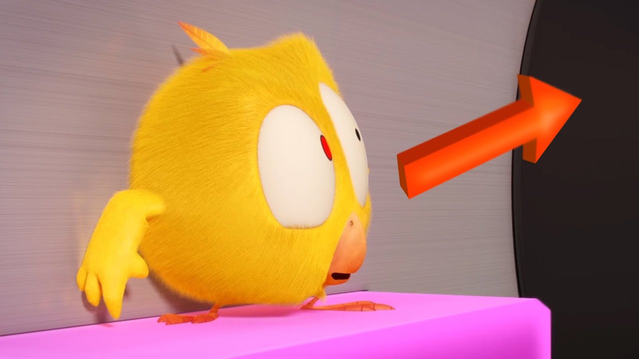 Pista de obstáculos | Onde está Chicky? | Pintinha amarelinho | Coleção desenhos animados Infantil