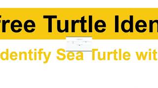 Malaysia Artificial Intelligence Nexus 2024   TurtleSwishNet