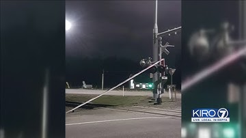 VIDEO: Strong wind batters trees, power lines leaving thousands without power