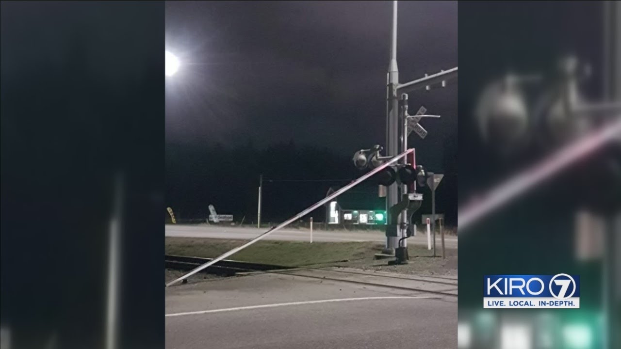 VIDEO: Strong wind batters trees, power lines leaving thousands without ...