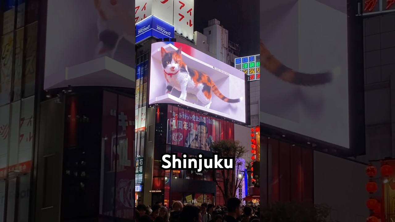 📍Giant 3D Cat Billboard Shinjuku | 