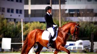 Download Lagu Shifiting eyes and vancancy vanished when I saw your face. MP3