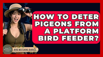 How To Deter Pigeons From A Platform Bird Feeder? - Bird Watching Diaries