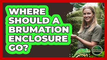 Where Should a Brumation Enclosure Go?