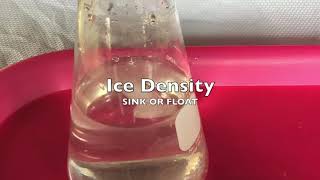 Ice Density: Sink or Float