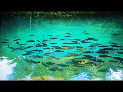 Ecoturismo - Bonito