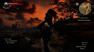 The Witcher 3 Bug: Roach what are you doing Net Worth