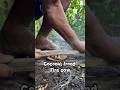 Coconut frond Fire Saw #primitivefirelighting #bushcraft