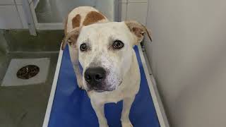 acs A685151