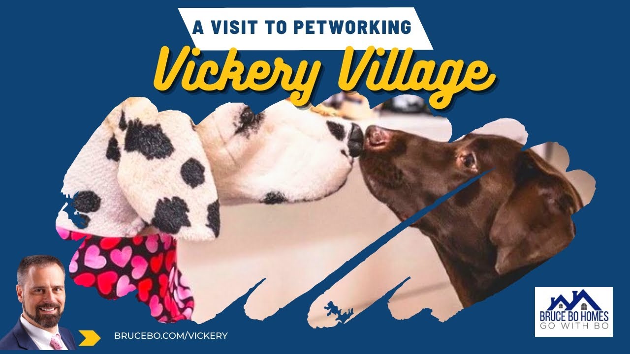 Petworking at Vickery Village full service pet care YouTube