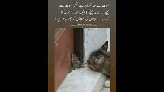 Feelings before death time || reality of life #searchingallah