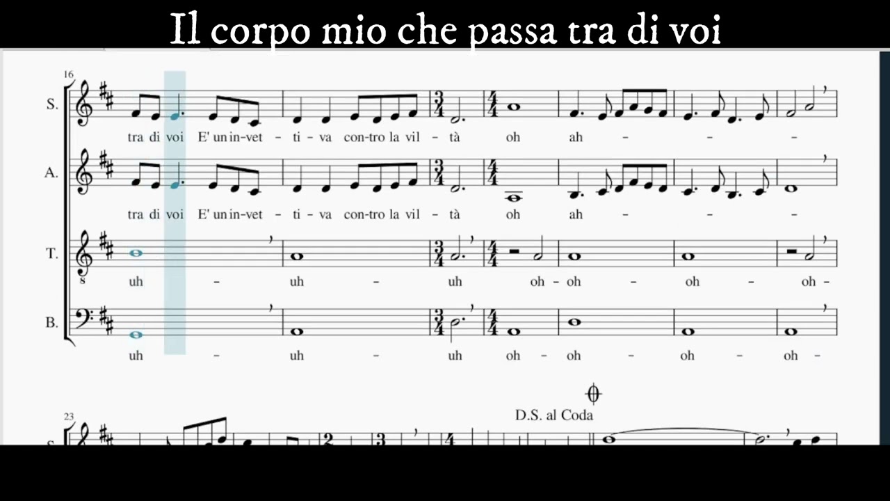 La Califfa (Bass) E. Morricone. Arr. E.P.