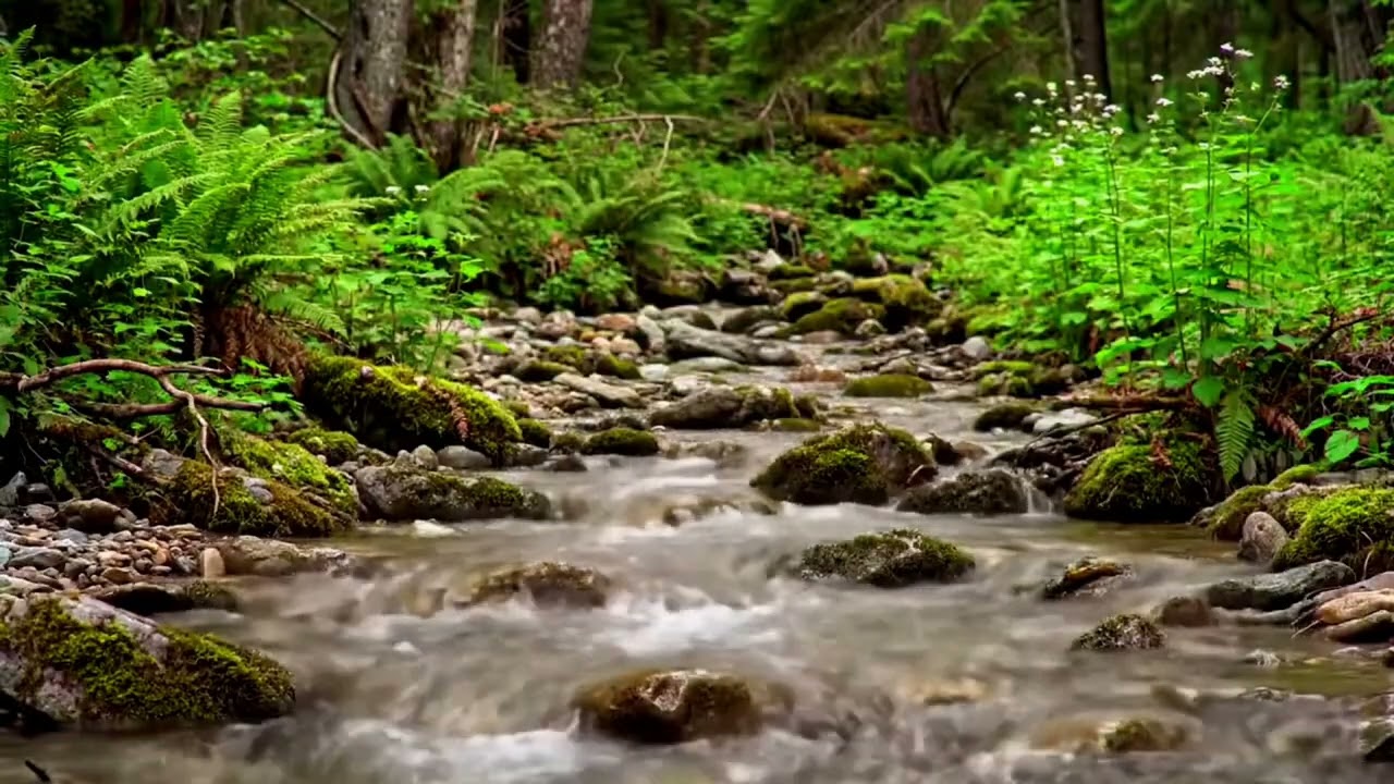 Calm River Water for Stress Relief