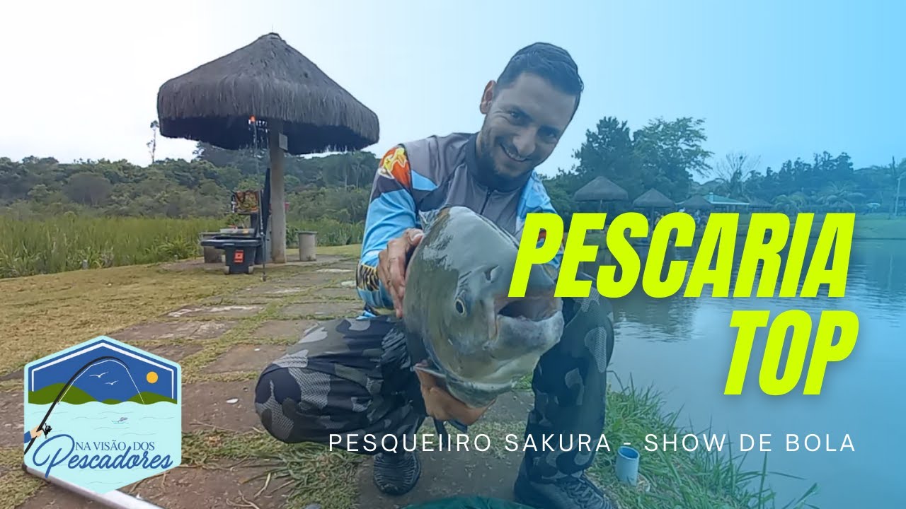 PESQUEIRO SAKURA Nos surpreendemos com a ação dos peixes! - YouTube