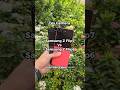 Tess kamera Samsung Z Flip7 Vs Samsung Z Flip6!! #samsungzlip7 #galaxyzflip6 #galaxyzflip7 #samsung
