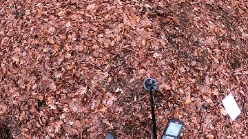 Equinox 800  - different coils . Depth testing: Minelab 6"; 11"; 12x15"; Coiltek 15".