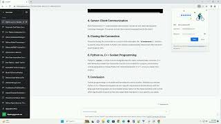 Socket program Python vs C Winsock Information