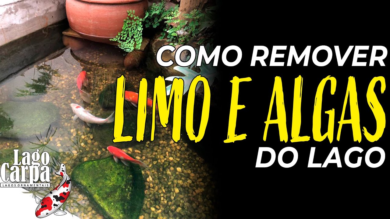 Como REMOVER e EVITAR o LIMO no lago ornamental.