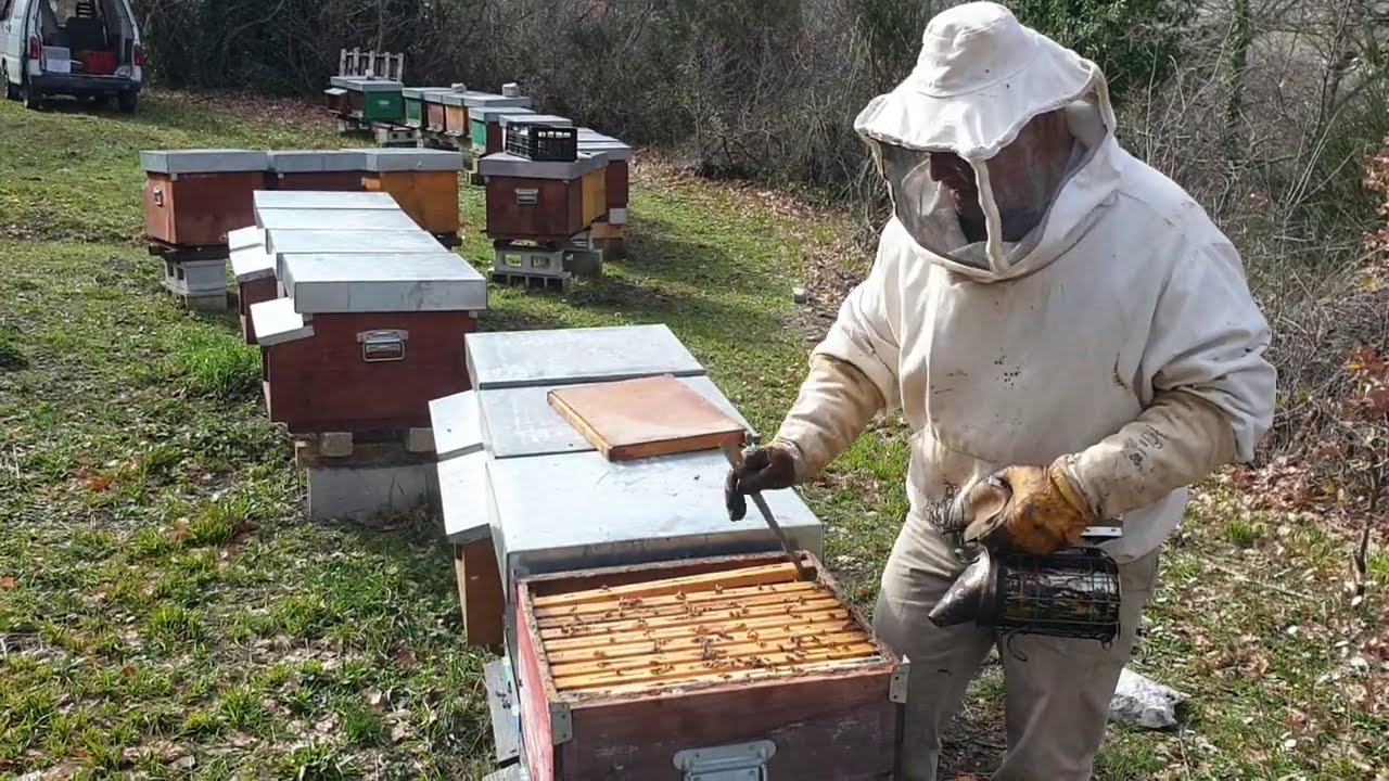 Febbraio, la prima ispezione interna degli alveari