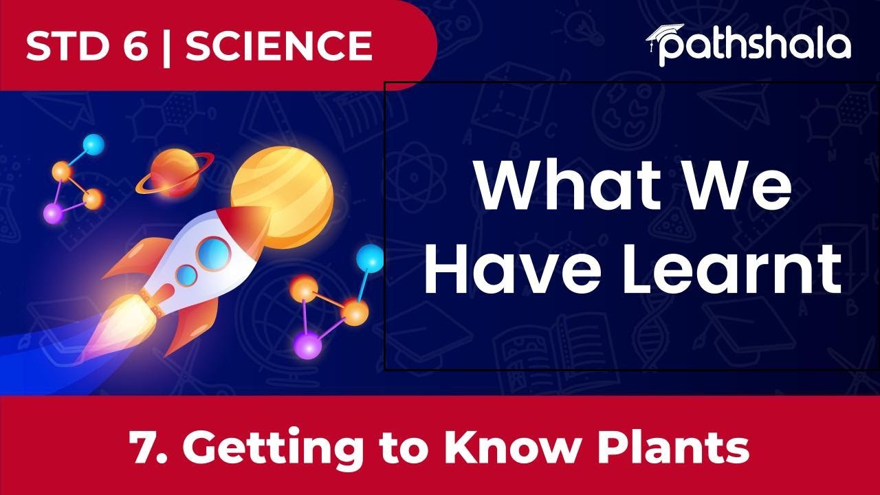 What We Have Learnt | 7 Getting to Know Plants | Science | Class 6