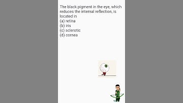 Neural Control and Coordination PYQ Neet Aiims MCQ #neet #biology #neetbiology #aiims #neet2024