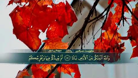 سورة نوح كاملة بصوت هلويست نصرالدین