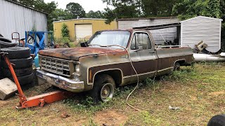 Attempting to bring a FORGOTTEN 1977 Chevy C10 back to life after 20 years of neglect. Will it run