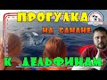 Катание на банане и дельфины в море | Судак Крым