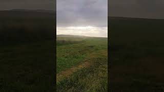 Yemyeşil Doğası 😉 Resimi