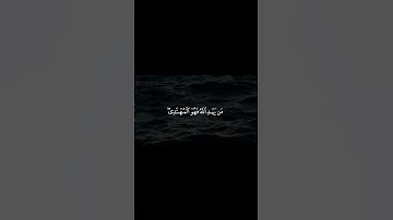 ساء مثلا القوم الذين كذبوا بآياتنا وأنفسهم كانوا يظلمون | محمد اللحيدان