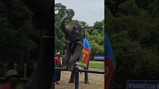 Samphran Elephant Ground Zoo Near Bangkok Thailand