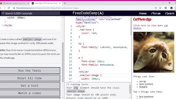 Learn Basic CSS  Size Your Images   freeCodeCamp org   Google Chrome 2019 11 26 12 26 28