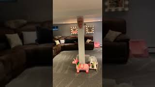 59 Ellen St video tour