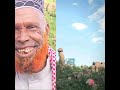 Seenaa Dhagaa Babile Irraa Dubacha Jiran November 18 2024 