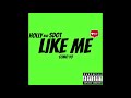 Holly and sdot  like me official audio