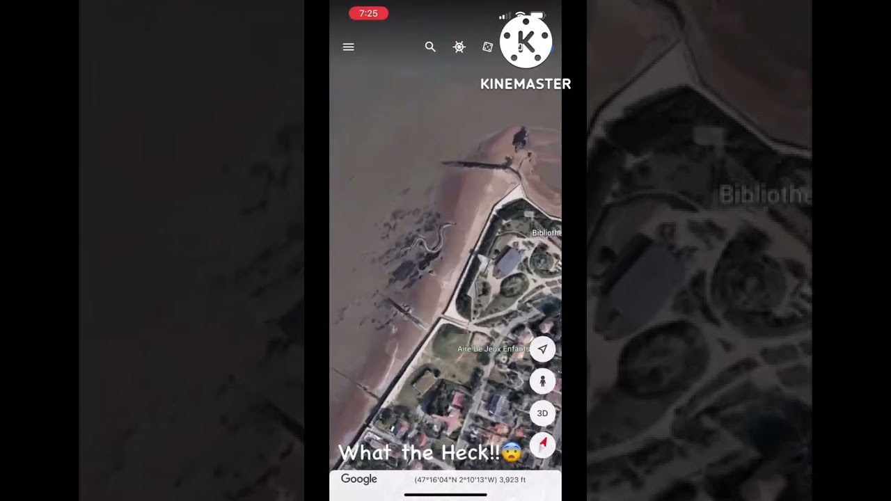 I Found a Snake Skeleton in Google Earth😨!! || 