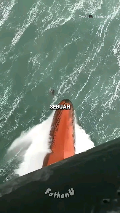 Kejadian Menegangkan di Kapal Pesiar! 😲❗#shorts
