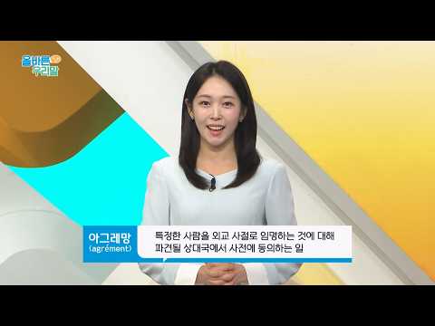[Proper Korean] What is the Korean substitute for 'agrement'?